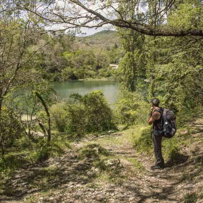 escursionista che osserva dei laghetti immersi nel bosco